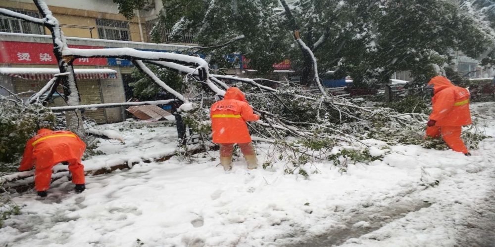 新站區(qū)道路清掃保潔、綠化管養(yǎng)項目